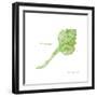 Shell on White IV-Gwendolyn Babbitt-Framed Art Print