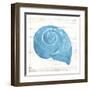 Shell On Wood-OnRei-Framed Art Print