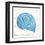 Shell On Wood-OnRei-Framed Art Print