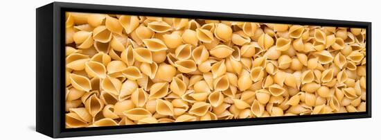 Shell Pasta-Steve Gadomski-Framed Stretched Canvas