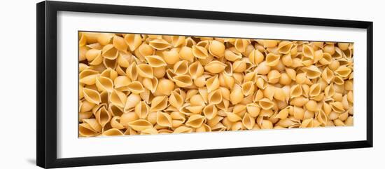 Shell Pasta-Steve Gadomski-Framed Premium Photographic Print