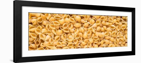 Shell Pasta-Steve Gadomski-Framed Photographic Print