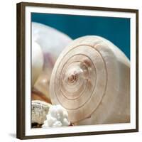 Shell Quartet-Dina Marie-Framed Giclee Print