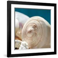 Shell Quartet-Dina Marie-Framed Giclee Print