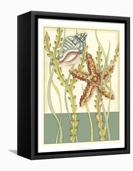 Shell Season I-Chariklia Zarris-Framed Stretched Canvas