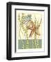 Shell Season I-Chariklia Zarris-Framed Art Print