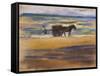 Shell Seekers on the Beach-Max Liebermann-Framed Stretched Canvas