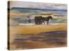 Shell Seekers on the Beach-Max Liebermann-Stretched Canvas