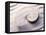 Shell Spiraling into Wavy Sand Pattern-null-Framed Stretched Canvas
