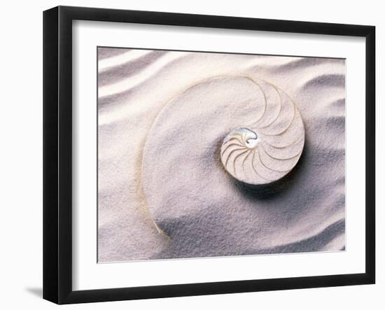 Shell Spiraling into Wavy Sand Pattern-null-Framed Premium Photographic Print