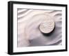 Shell Spiraling into Wavy Sand Pattern-null-Framed Premium Photographic Print