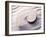 Shell Spiraling into Wavy Sand Pattern-null-Framed Photographic Print