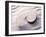 Shell Spiraling into Wavy Sand Pattern-null-Framed Photographic Print