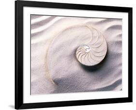 Shell Spiraling into Wavy Sand Pattern-null-Framed Photographic Print