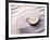 Shell Spiraling into Wavy Sand Pattern-null-Framed Photographic Print