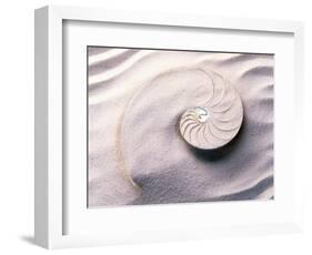 Shell Spiraling into Wavy Sand Pattern-null-Framed Photographic Print