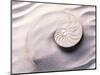 Shell Spiraling into Wavy Sand Pattern-null-Mounted Photographic Print