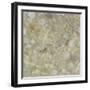 Shell Squares I-Pam Ilosky-Framed Art Print