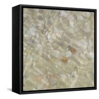 Shell Squares II-Pam Ilosky-Framed Stretched Canvas