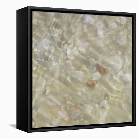 Shell Squares II-Pam Ilosky-Framed Stretched Canvas