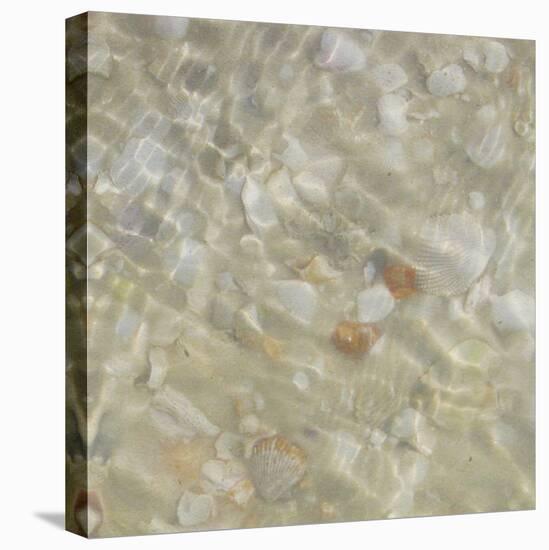 Shell Squares II-Pam Ilosky-Stretched Canvas