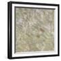 Shell Squares II-Pam Ilosky-Framed Art Print