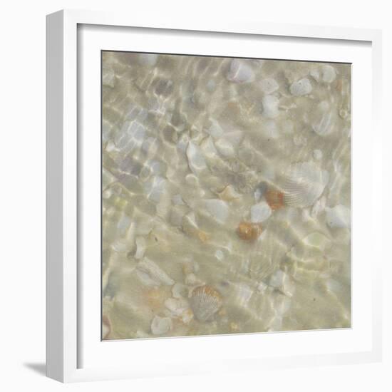 Shell Squares II-Pam Ilosky-Framed Art Print