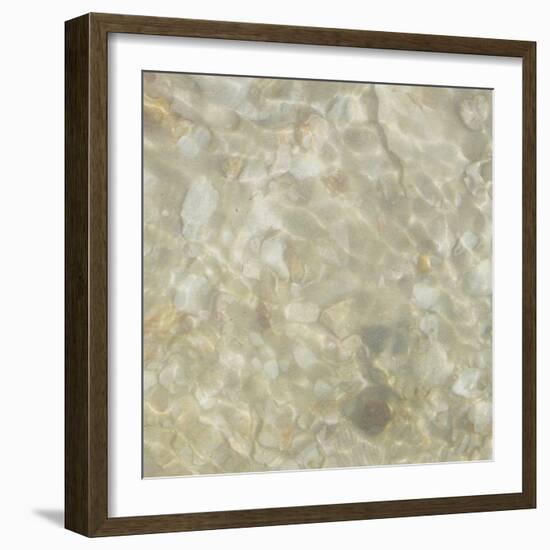 Shell Squares IV-Pam Ilosky-Framed Art Print