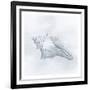 Shell Storm 2-Marcus Prime-Framed Art Print