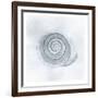 Shell Storm-Marcus Prime-Framed Art Print