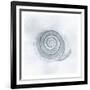 Shell Storm-Marcus Prime-Framed Art Print