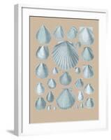 Shell Study I-A^ Poiteau-Framed Giclee Print