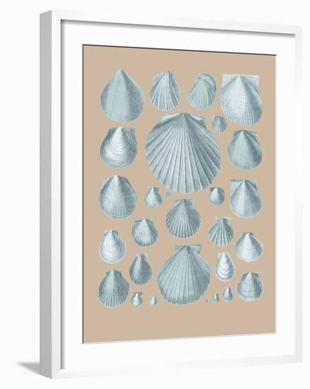 Shell Study I-A^ Poiteau-Framed Giclee Print