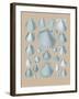 Shell Study I-A^ Poiteau-Framed Giclee Print