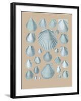 Shell Study I-A^ Poiteau-Framed Giclee Print