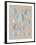 Shell Study III-A^ Poiteau-Framed Giclee Print