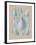 Shell Study IV-A^ Poiteau-Framed Giclee Print