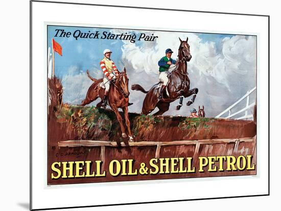 Shell the Quick Strating Pair-null-Mounted Art Print