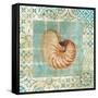 Shell Tiles III Blue-Danhui Nai-Framed Stretched Canvas