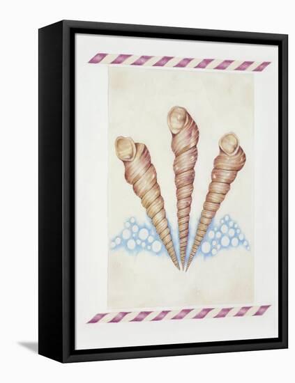 Shell Tri Terebra-Deborah Kopka-Framed Stretched Canvas