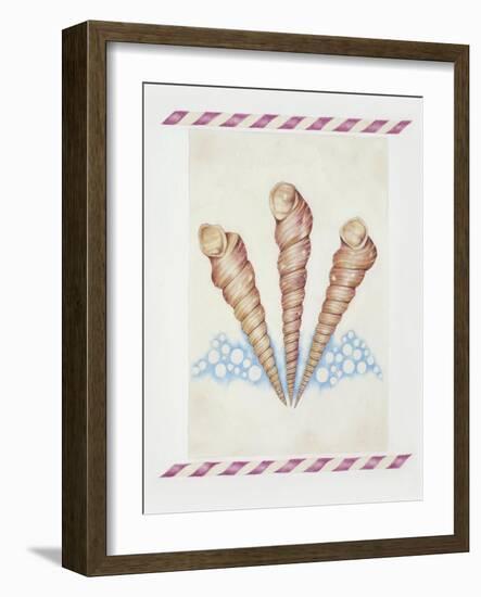 Shell Tri Terebra-Deborah Kopka-Framed Giclee Print