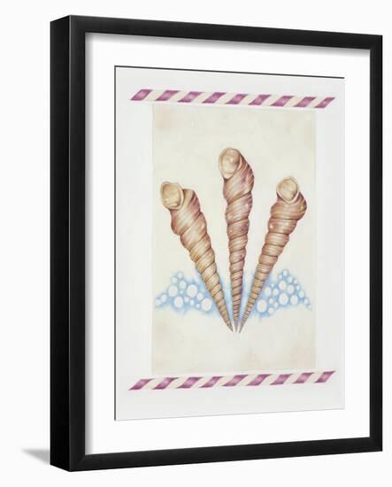 Shell Tri Terebra-Deborah Kopka-Framed Giclee Print