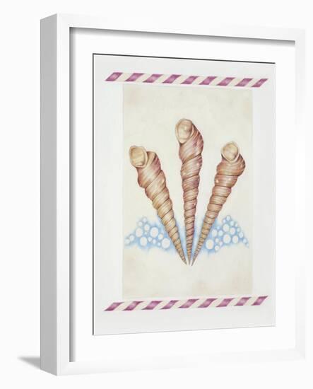 Shell Tri Terebra-Deborah Kopka-Framed Giclee Print