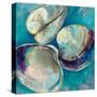 Shell Trio-Jeanette Vertentes-Stretched Canvas