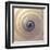 Shell Twirl-Assaf Frank-Framed Giclee Print