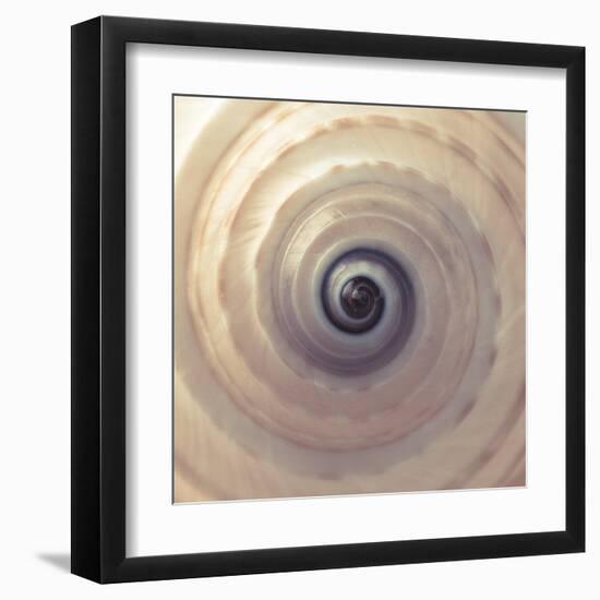 Shell Twirl-Assaf Frank-Framed Giclee Print