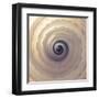 Shell Twirl-Assaf Frank-Framed Giclee Print