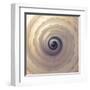 Shell Twirl-Assaf Frank-Framed Giclee Print