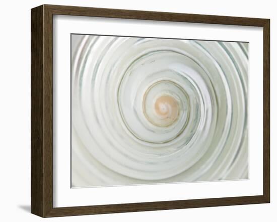 Shell Twist-Assaf Frank-Framed Giclee Print