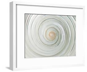 Shell Twist-Assaf Frank-Framed Giclee Print